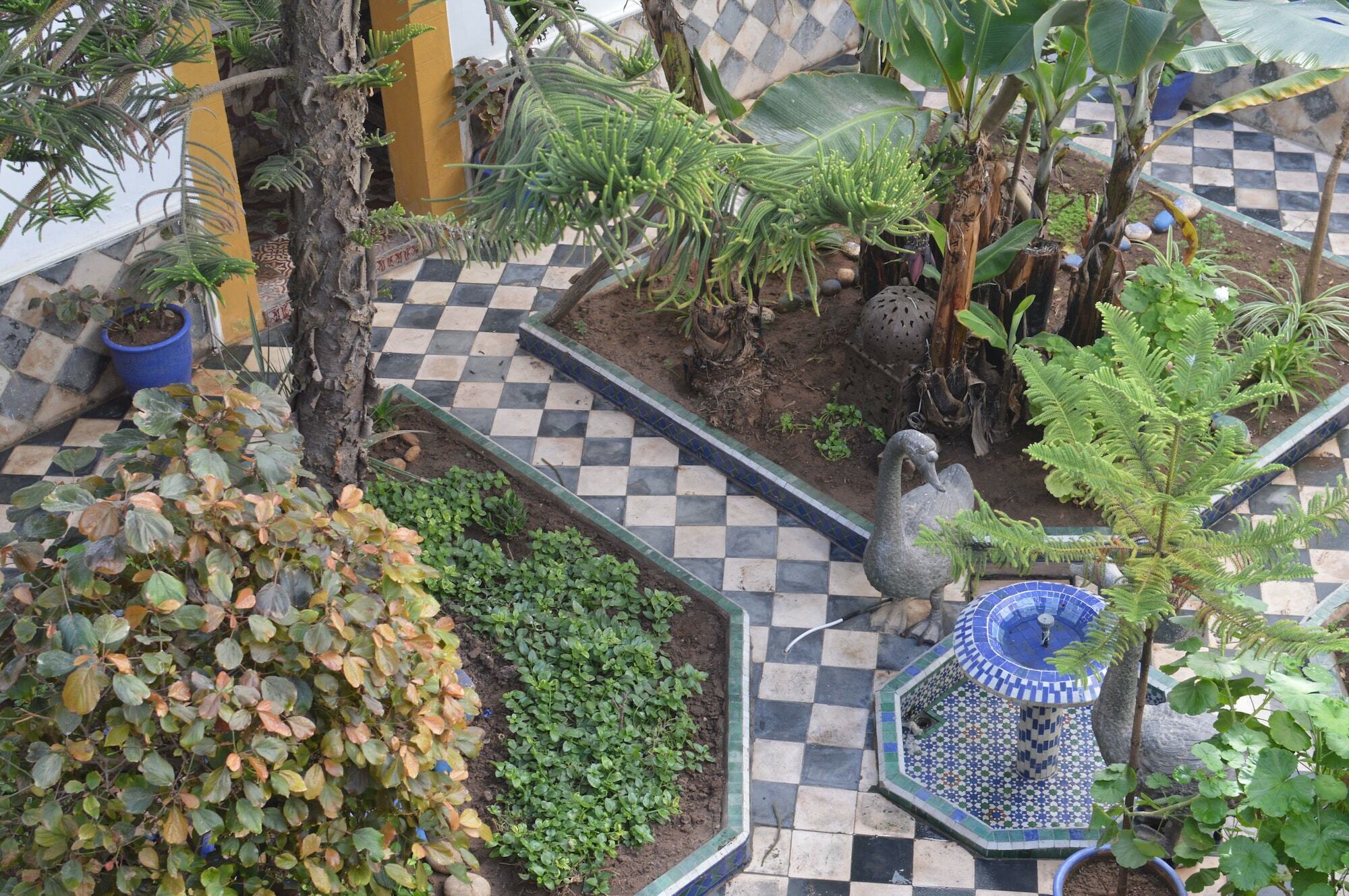Du Figuier 3* Essaouira